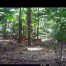 Camera Traps - March 2026