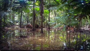 Camera Traps - April 2026