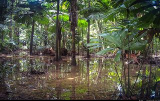 Camera Traps - April 2026