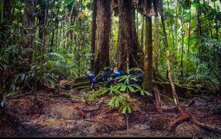 Camera Traps - May 2026