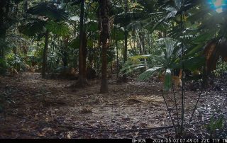 Camera Traps - May 2026
